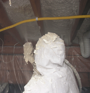  ID crawl space insulation